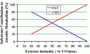 04G-fat&cho-VO2max